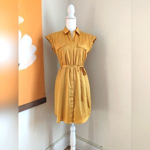 Express Portofino Shirt Dress S